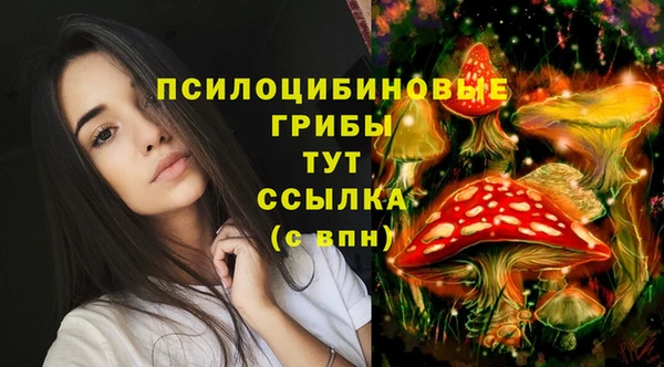 mix Балабаново