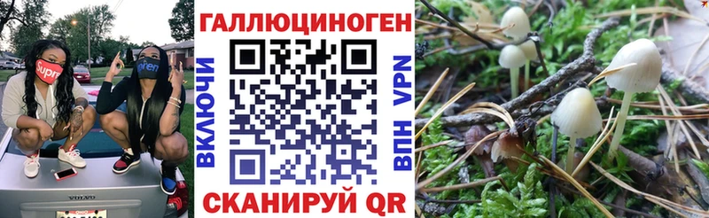 даркнет сайт  Аша  Псилоцибиновые грибы ЛСД 