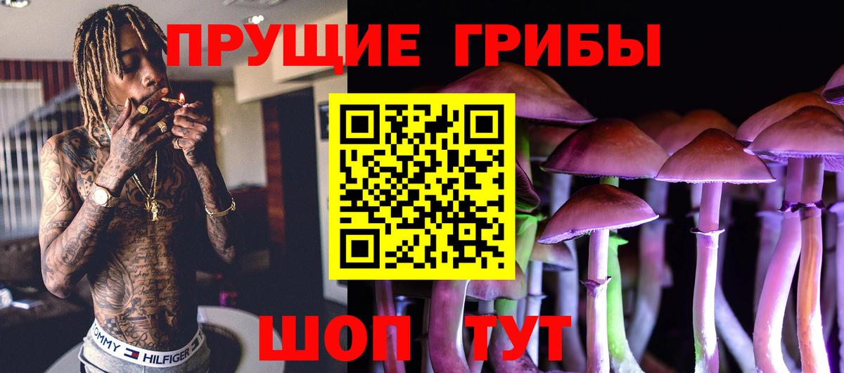 Псилоцибиновые грибы мицелий  Аша 