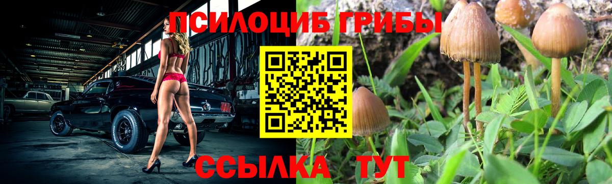 Псилоцибиновые грибы прущие грибы  Вход с VPN  Аша 